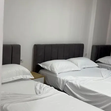Apartment Chriss Lezhe